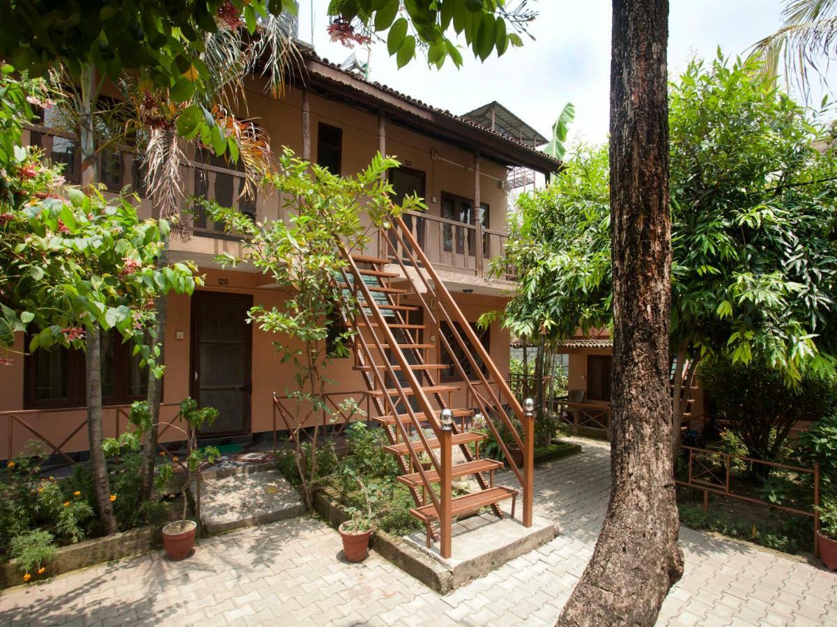 Spot On 486 Hotel Holy Lodge Sauraha Exterior photo